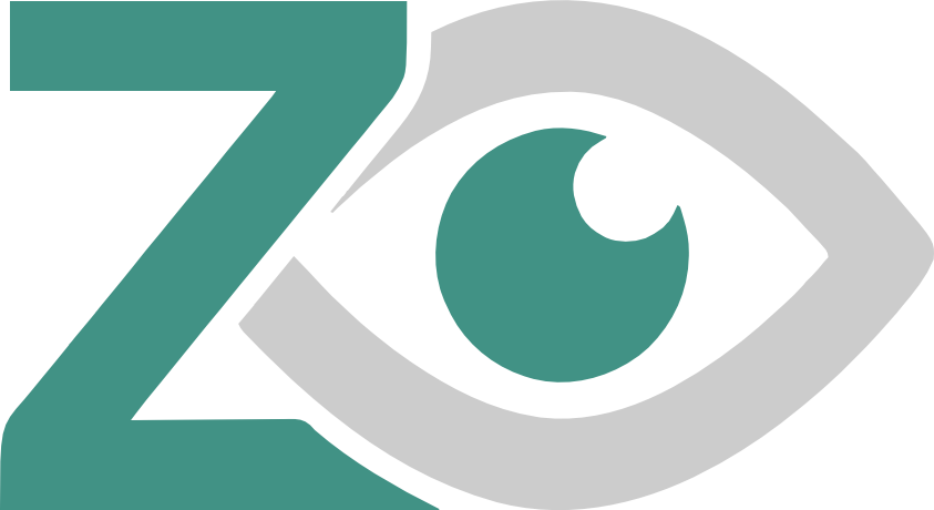 Z-Vision Generator Logo