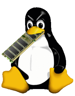 Mean looking penguin eating a stick of RAM