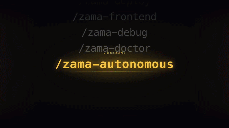 zama-skills walkthrough