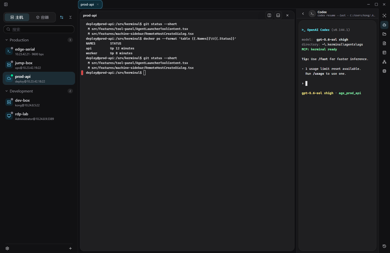 在 Kerminal 工作台右侧成功启动 Codex