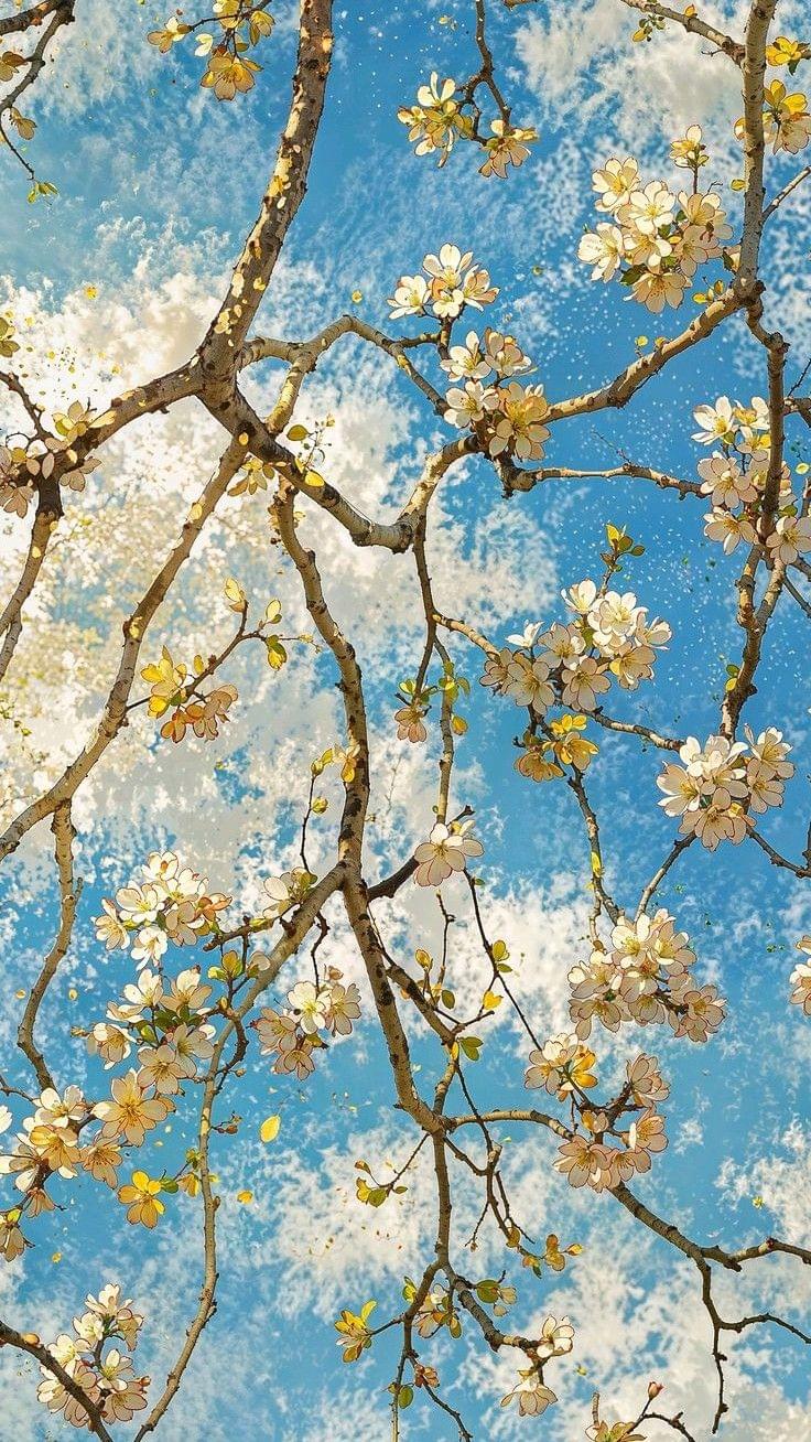 Hypervisor技术解析:传统虚拟化技术与HyperEnclave