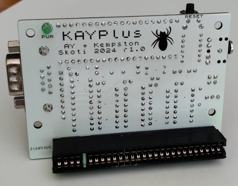 kayplus01s.jpg