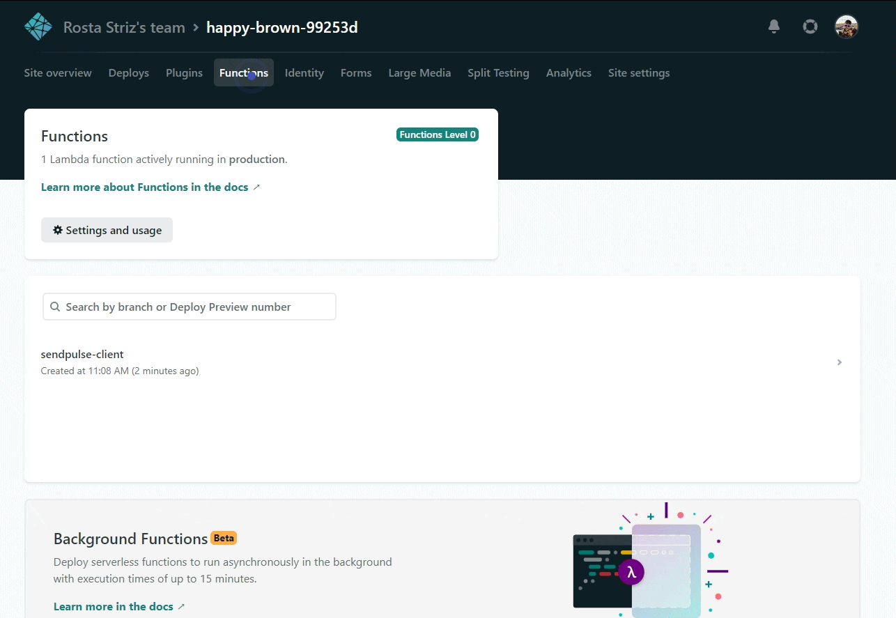 Netlify variable setup