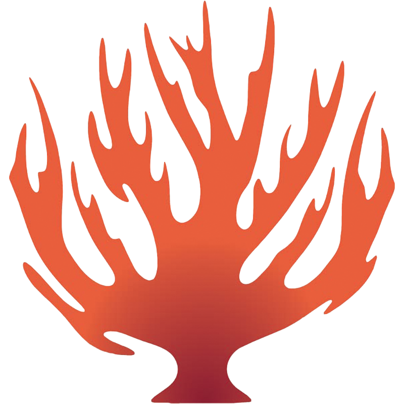 Koral Pleakis Design logo