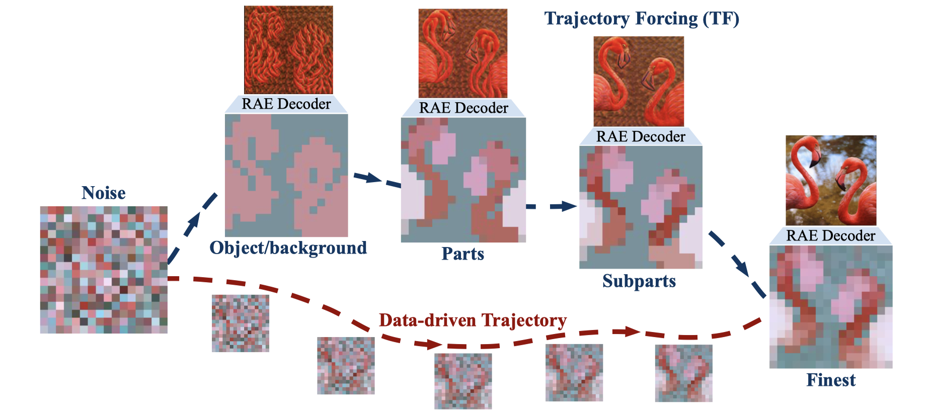 The Trajectory Forcing method: noise, then object/background, parts, subparts and the finest level, each decodable by the frozen RAE decoder