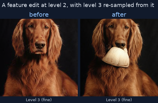 before and after an edit