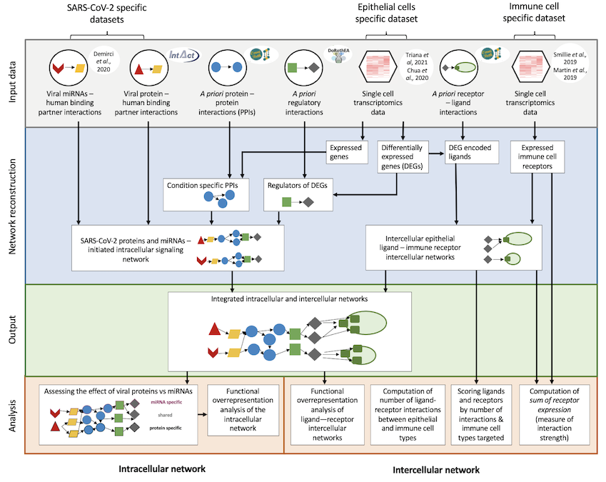 GitHub - korcsmarosgroup/gut-COVID: Github repository for the Gut-Covid ...