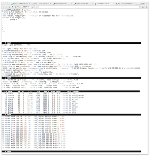 GitHub - kordless/swarm-shell: She Sells Giant Swarm Shells · GitHub