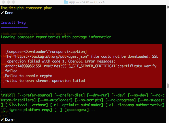 OpenSSL error at Composer start