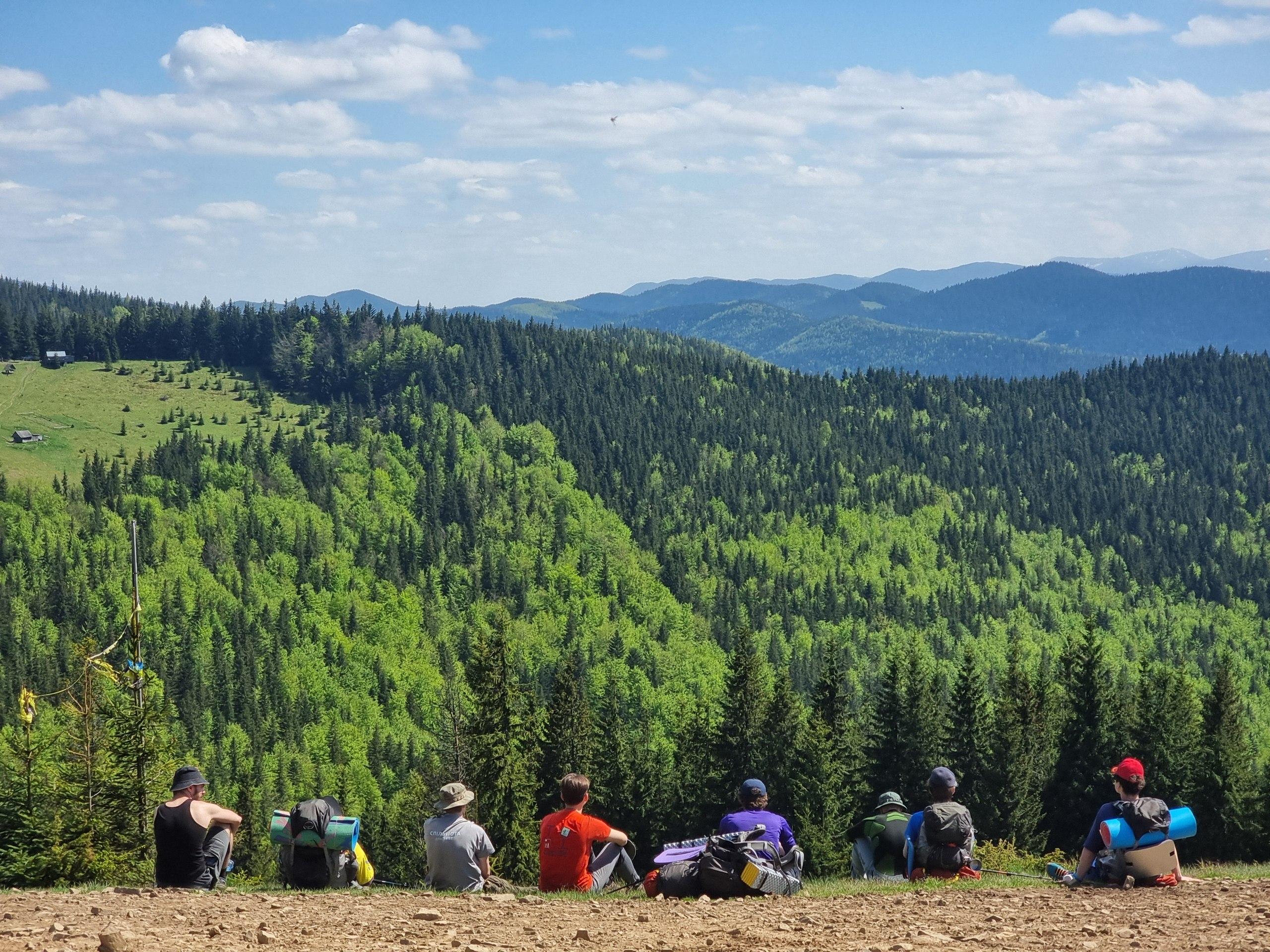 Resting together at a mountain overlook