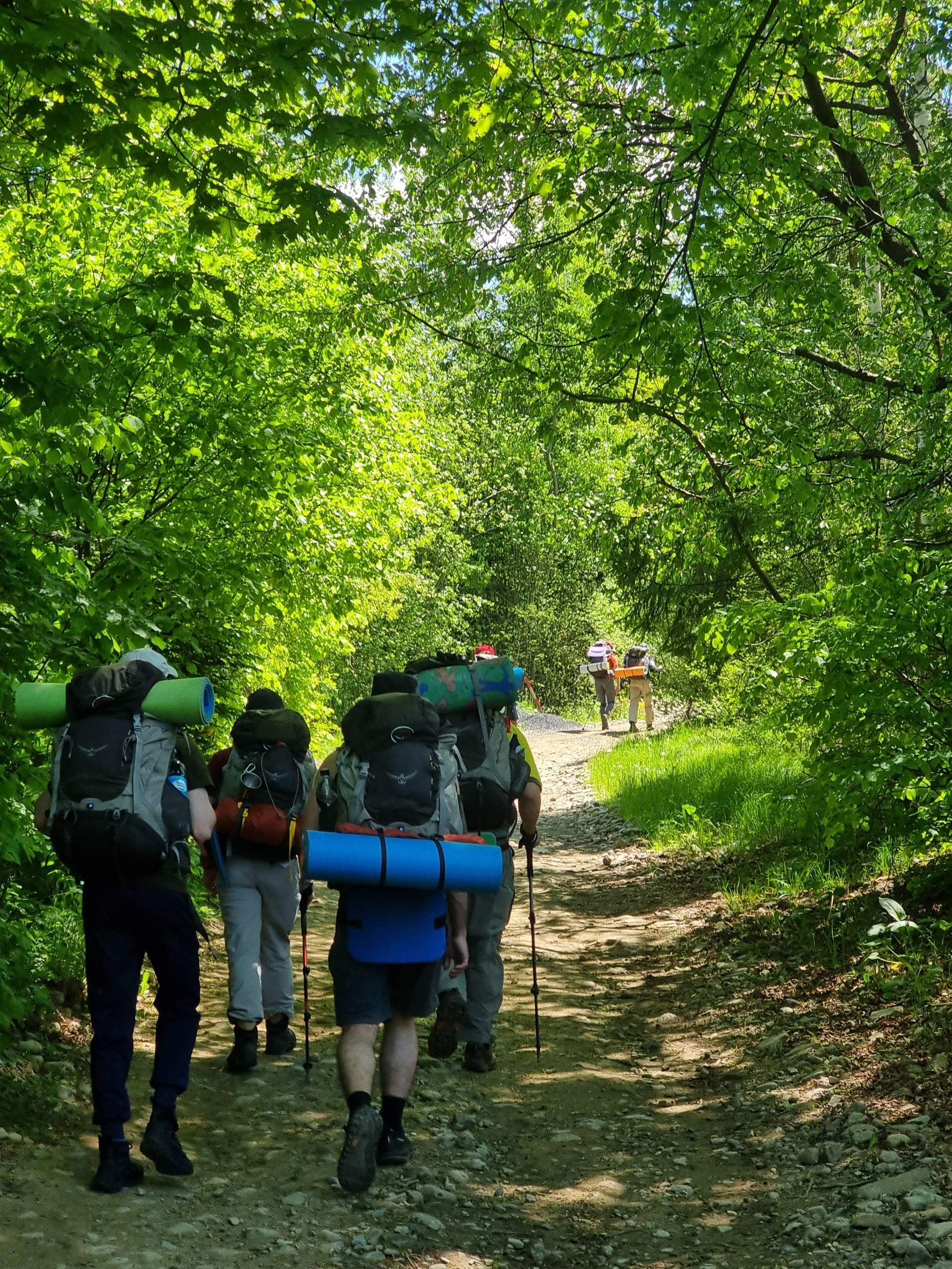 Hiking single-file through the forest trail