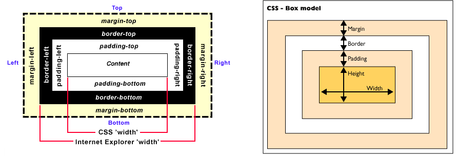 box-model