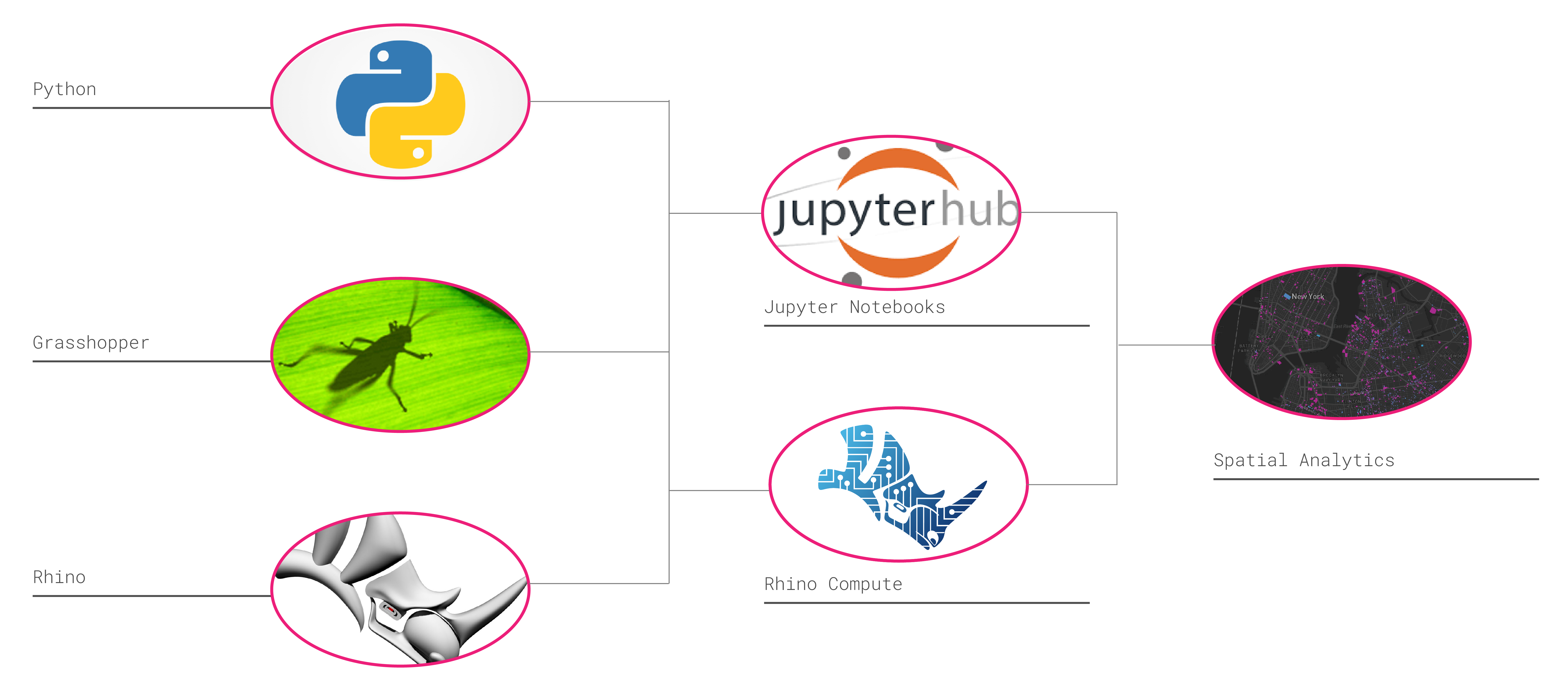 Rhino_Jupyter_Graphic-03