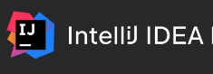 IntelliJ IDEA Logo