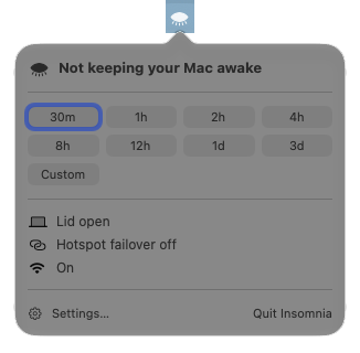 The popover after an Option-click: Not keeping your Mac awake, the preset chips and the idle rows