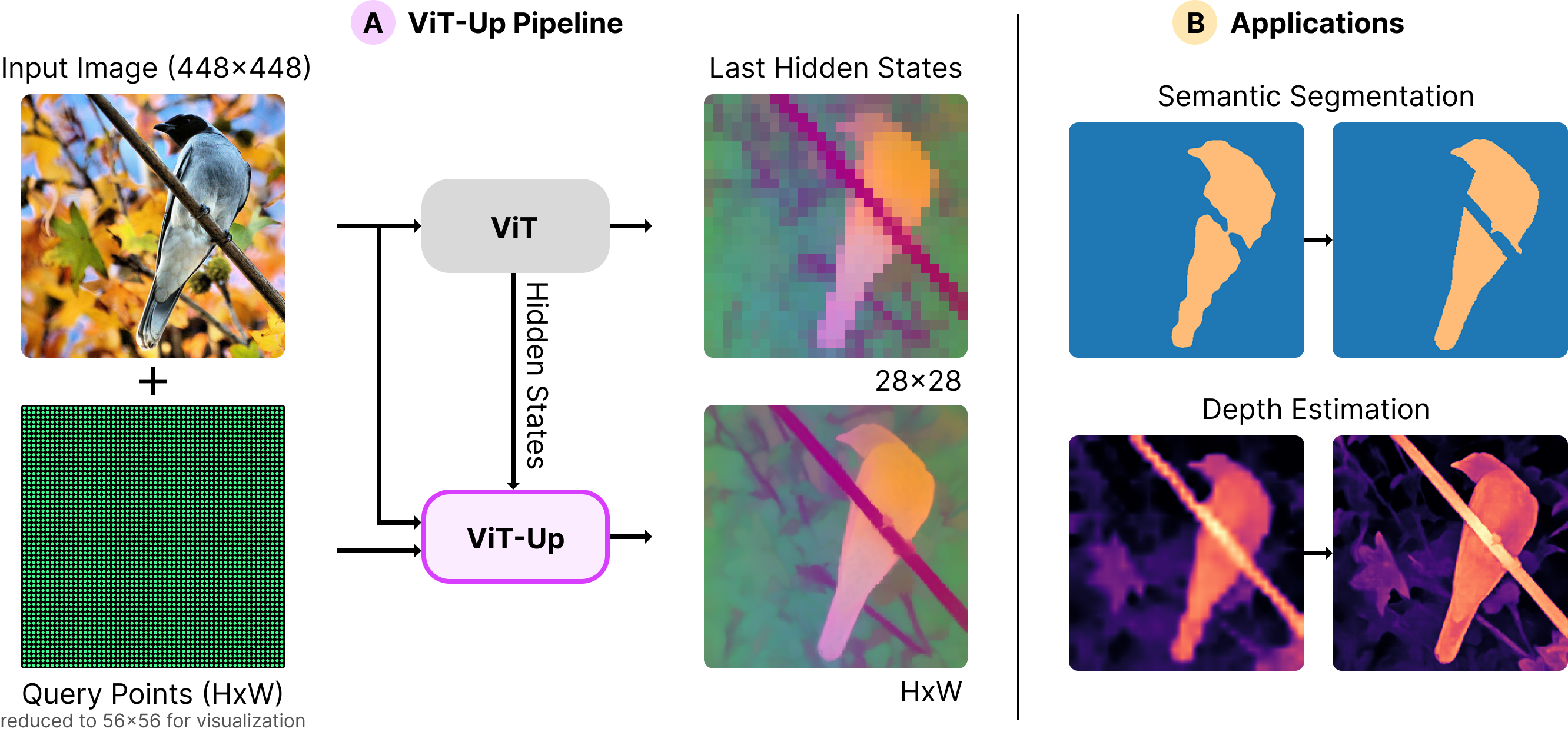ViT-Up model overview