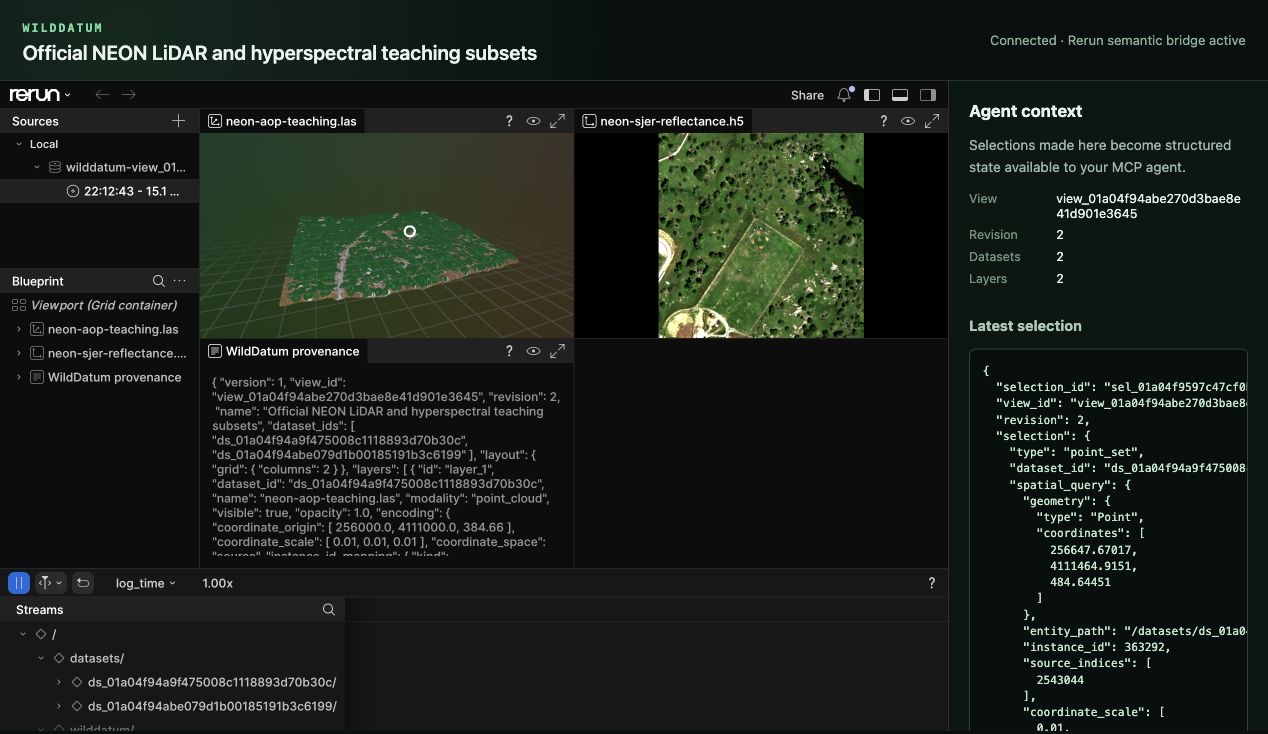WildDatum rendering an official NEON LiDAR tile and hyperspectral cube in Rerun while exposing the selected source point as structured agent context