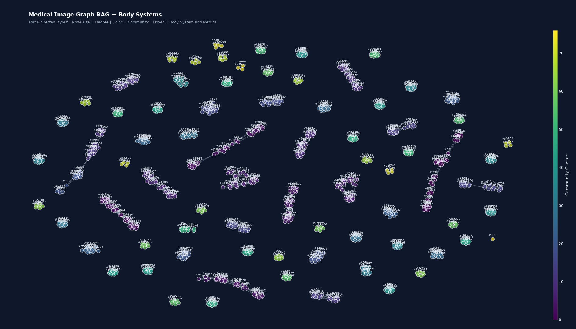 Medical Image Graph RAG — Body Systems