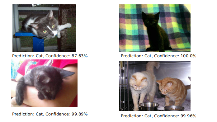Correct Predictions of Cats