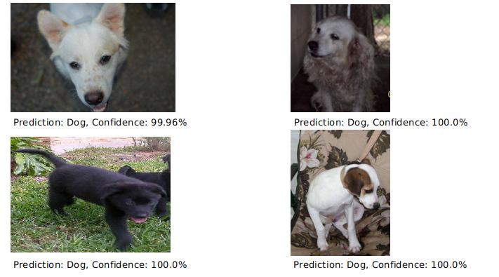 Correct Predictions of Dogs