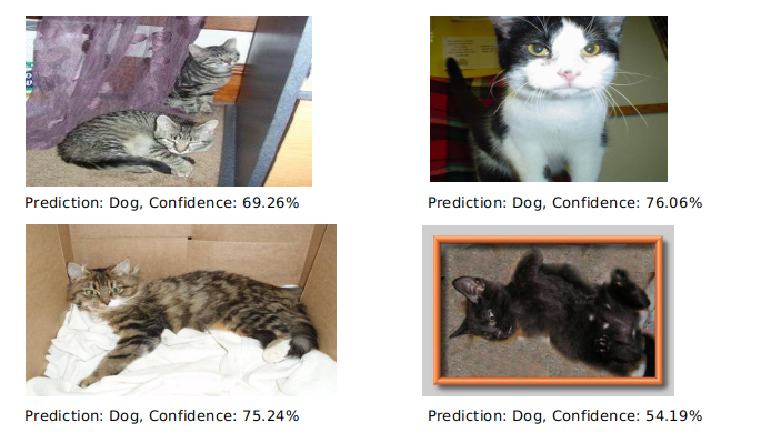 Wrong Predictions of Cats