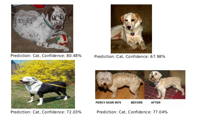 Wrong Predictions of Dogs