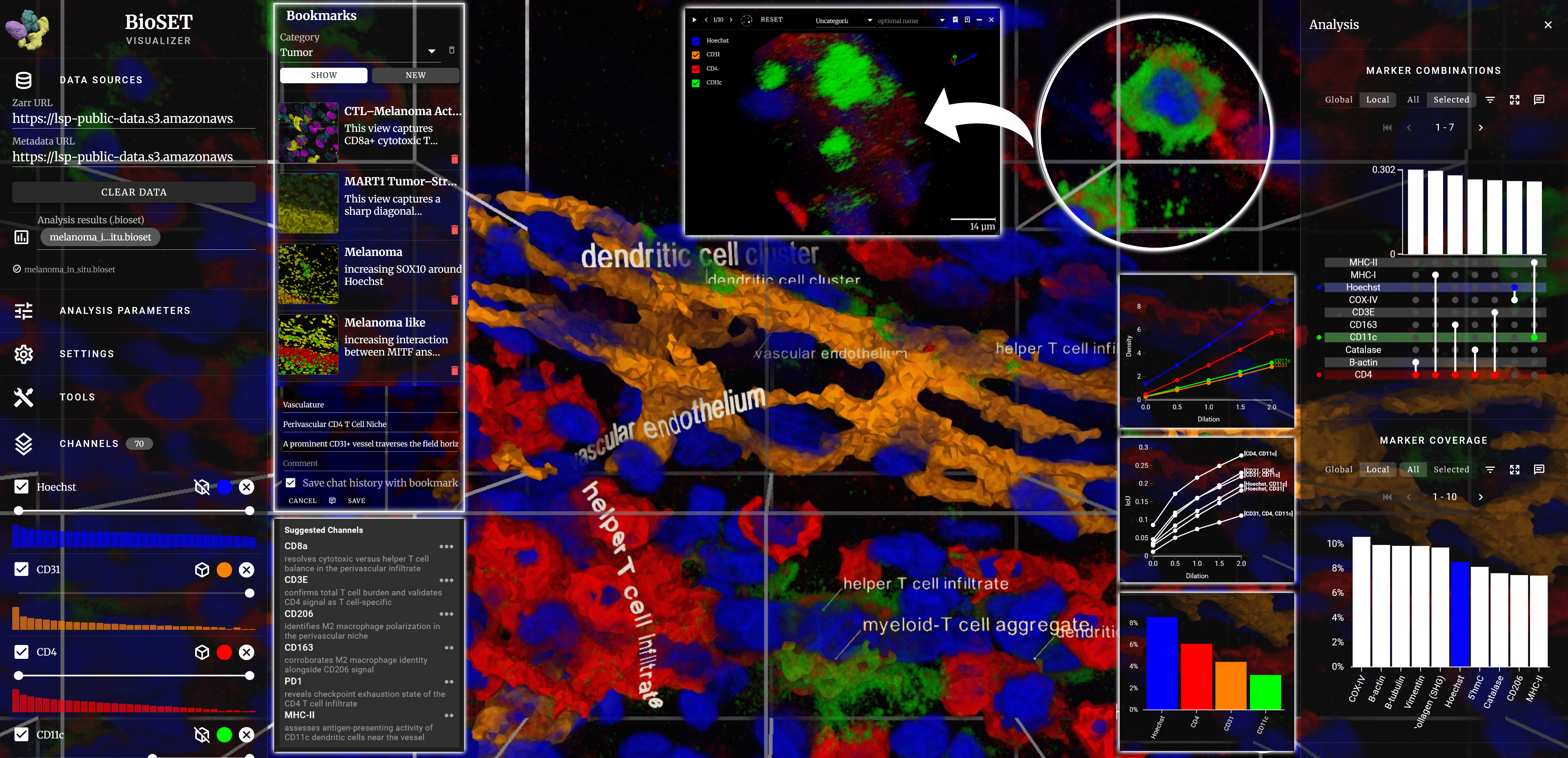 Analytical Volumetric Processing of 3D Microenvironments