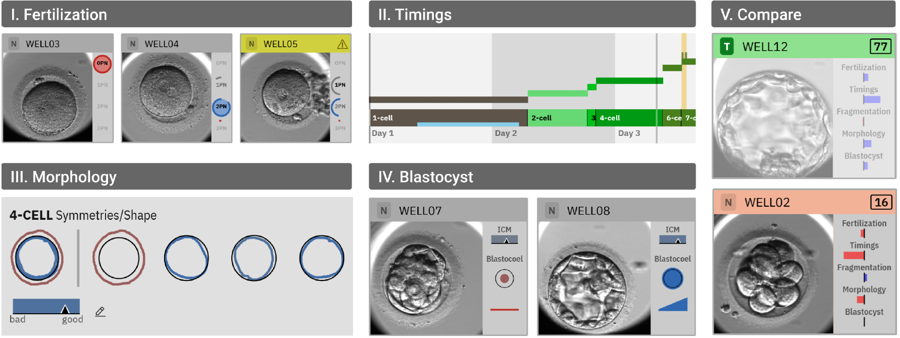 Analytics of Live Cell Imaging