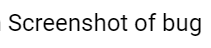 bug-screenshot.png