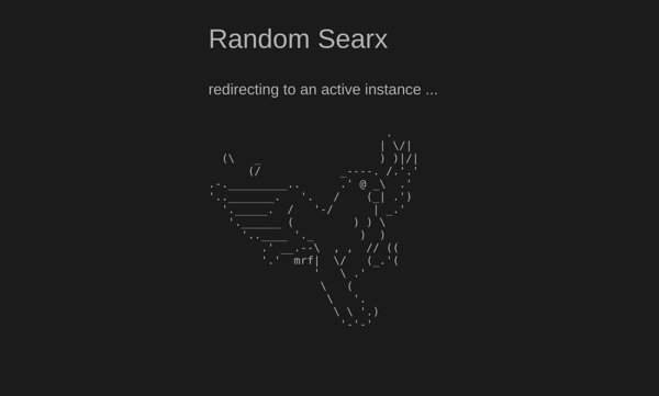 random searx screen