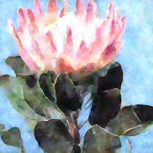 King Protea