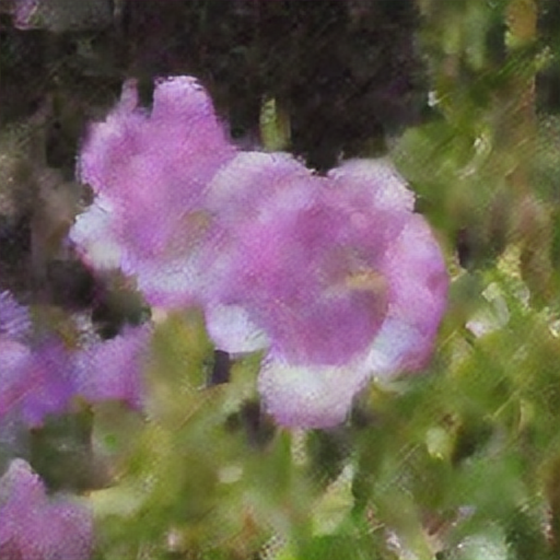 canterbury bells