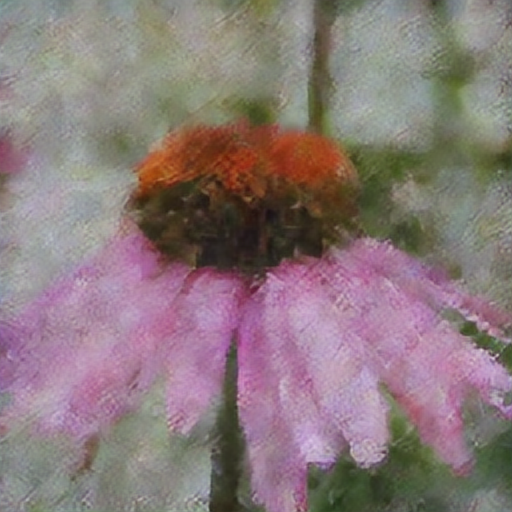 purple coneflower