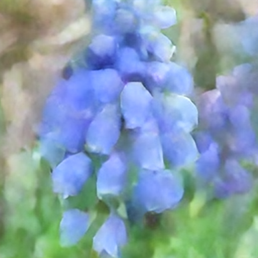 grape hyacinth
