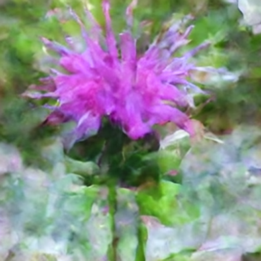 bee balm