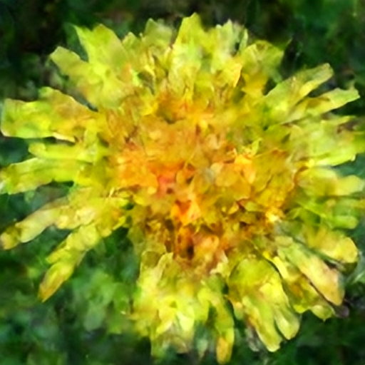 common dandelion
