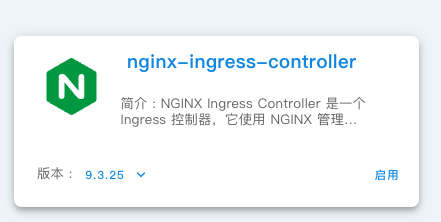 plugin-ingress-nginx