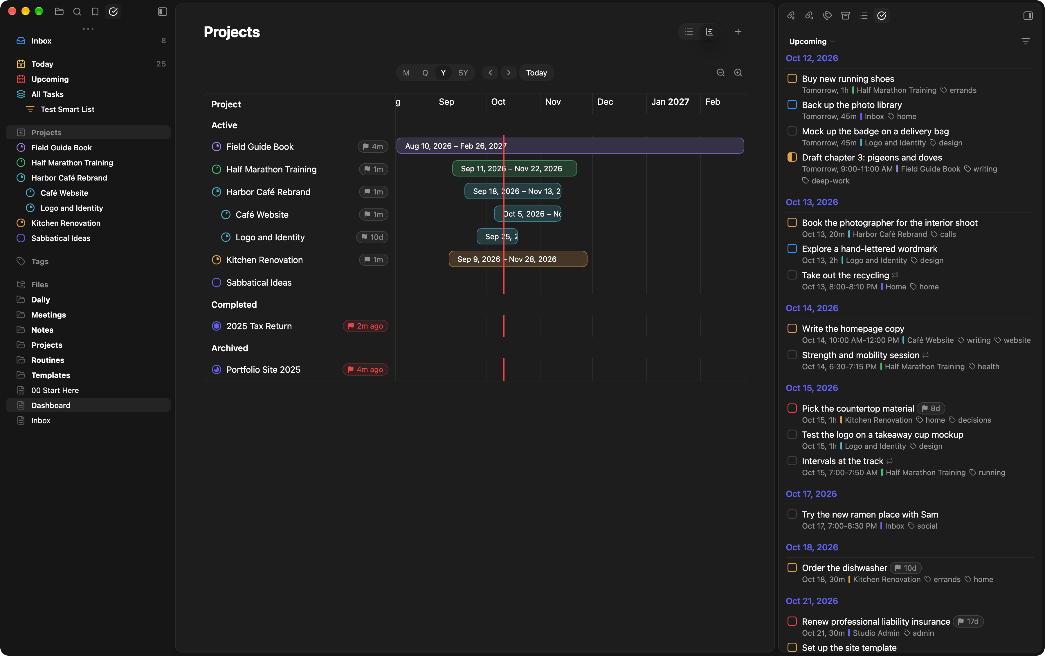 The Gantt chart in the year view, with each project's bar in its colour and a line marking today