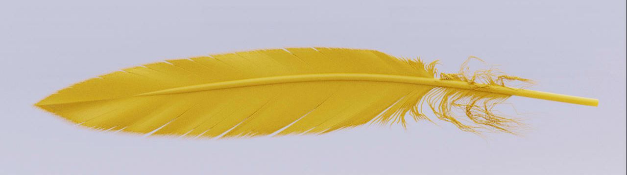 feather_img
