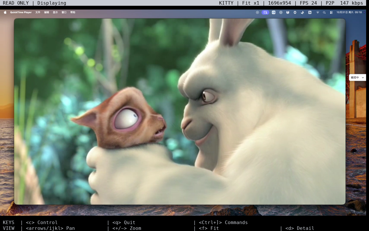 CrossDesk CLI 的 Kitty 协议全景：同一远程桌面以像素画面显示，保留状态栏和操作快捷键