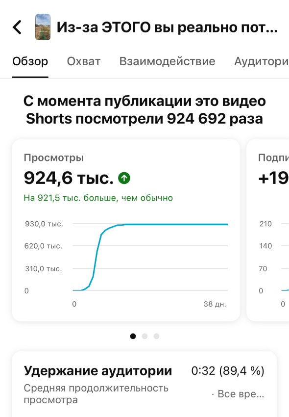 Shorts 924К