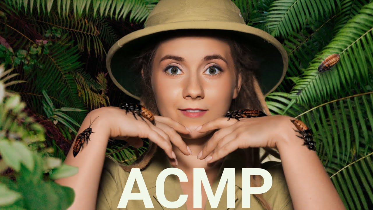 Архив ASMR видео
