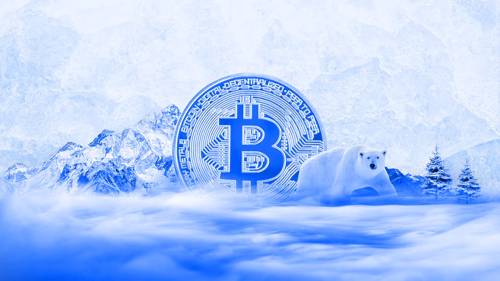 Illustrative photograph titled: Crypto Winter - Bear Market