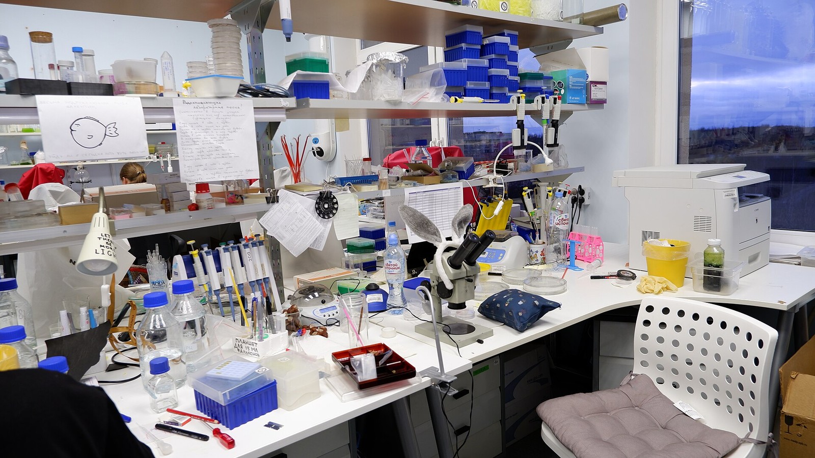 medical data research workplace