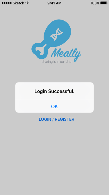 Login Successful Screen