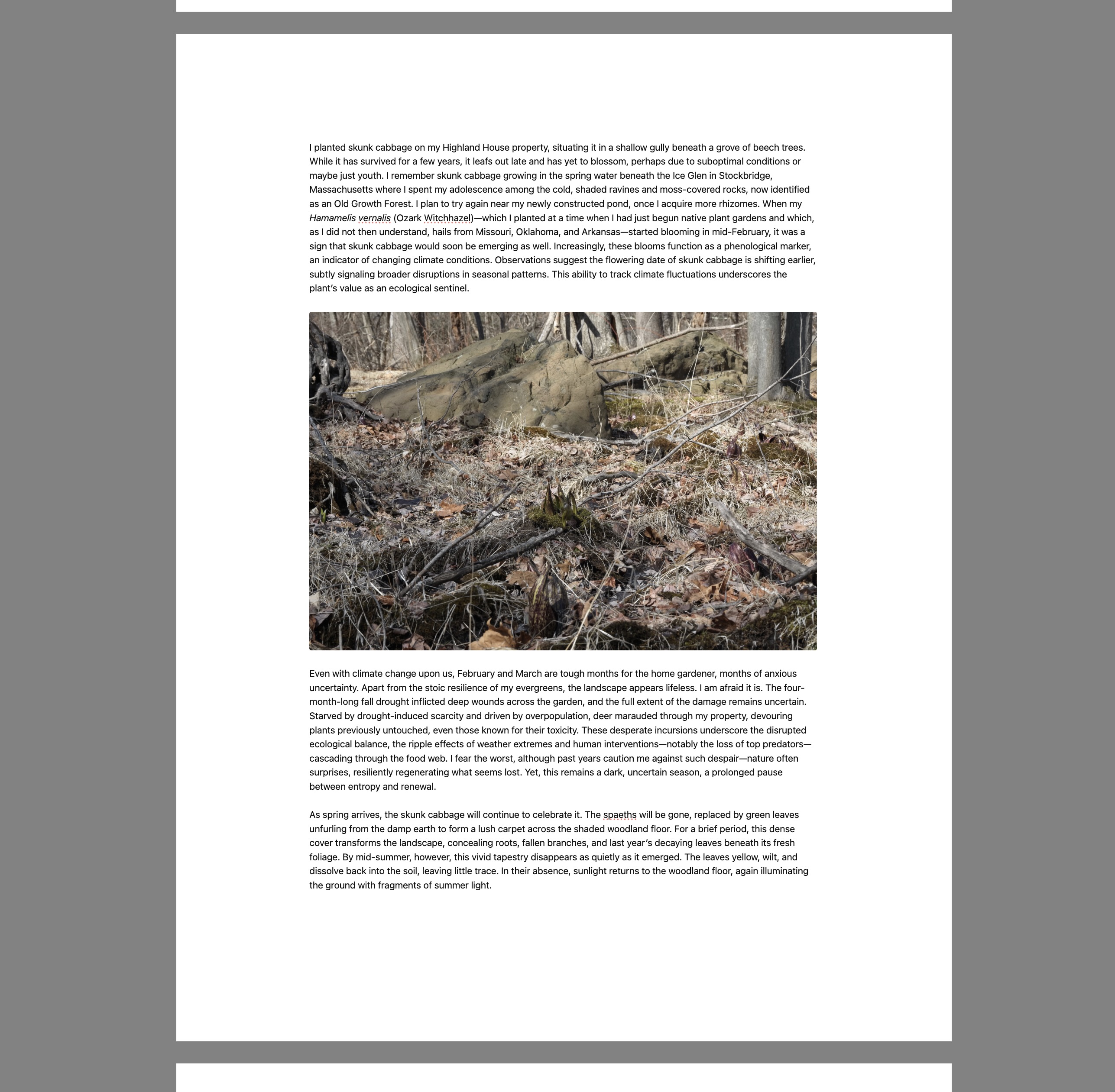 Composition Mode in action — a paginated page on a neutral gray backdrop, with text column and embedded image