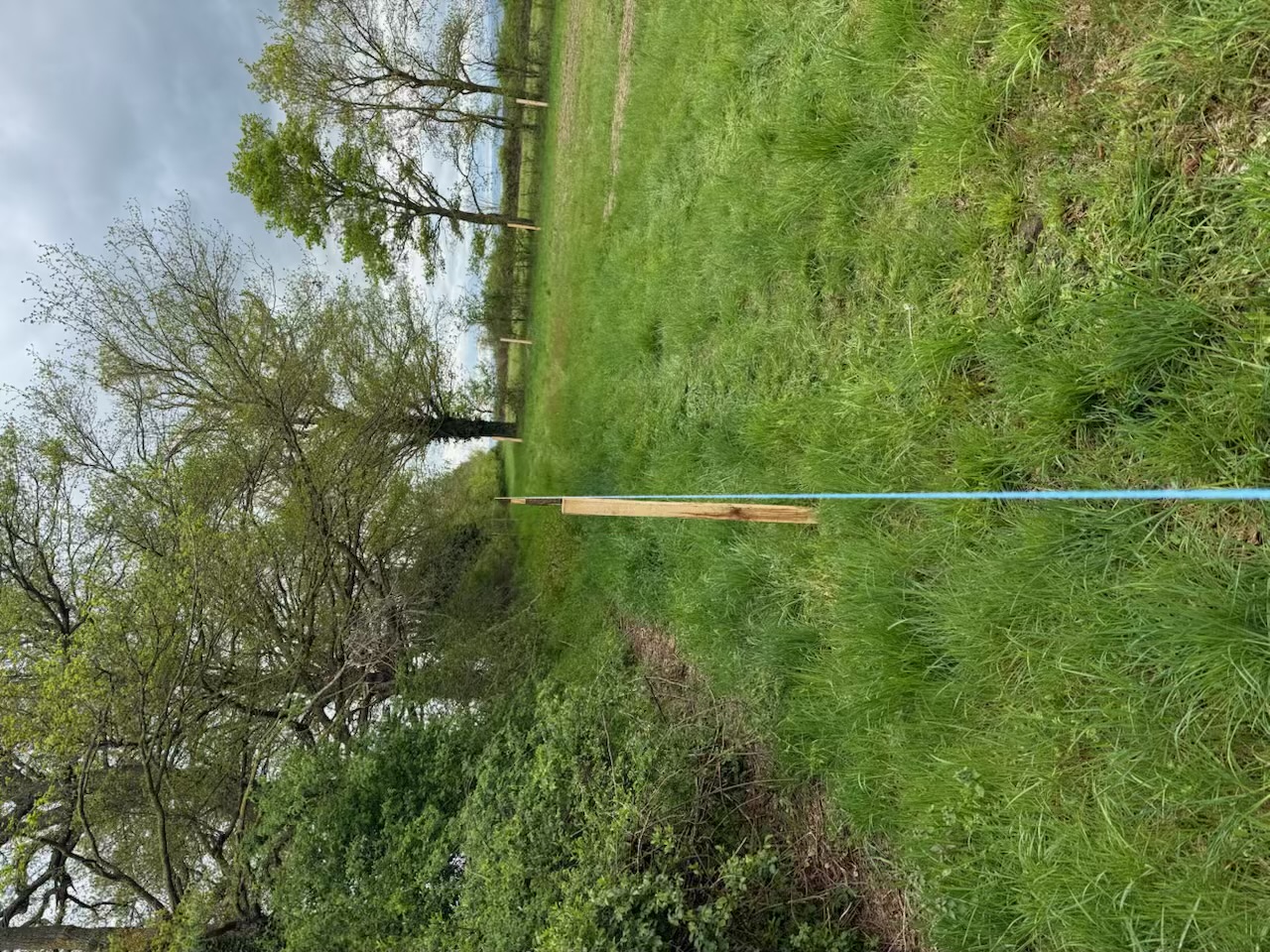 Clôture agricole KVbois