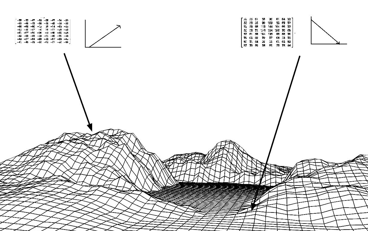 net landscape