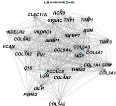 networkplot