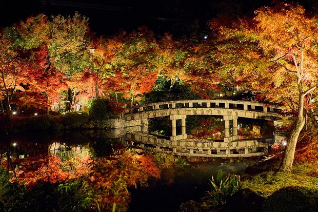 Eikando pond and stone bridge with maples lit up at night